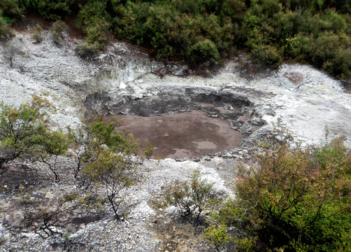 Waiotapu Thermal Wonderland boiling mud - New Zealand