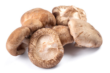 Group of delicious shiitake