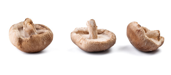 Shiitake mushrooms on white