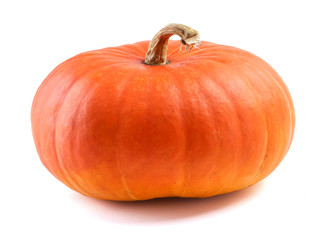 Pumpkin from side view