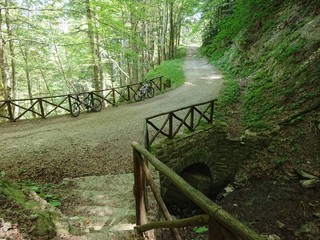 Parco delle foreste casentinesi