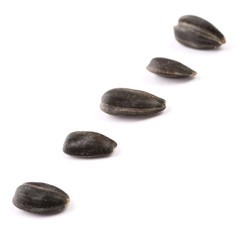 Fototapeta na wymiar Set of sunflower seeds
