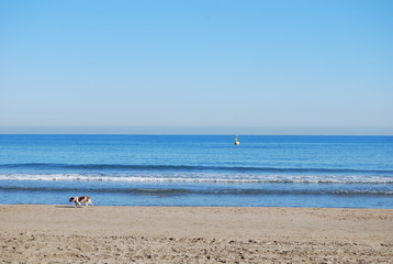 Obraz premium Beach Landscape, Valencia, Spain