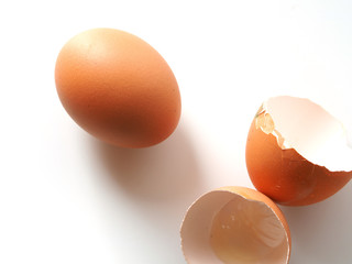 Chicken egg and shell on white background