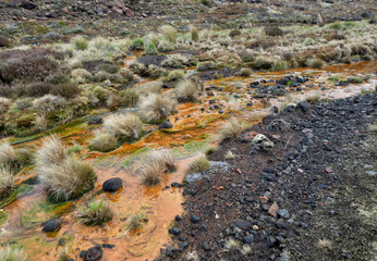 Tongariro Alpine Crossing Soda Springs, one-day hike - New Zealand, NZ
