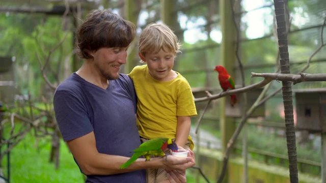 Super slowmotion shot of a father and son in a bird park feed a green parrot sitting on father's hand with a milk