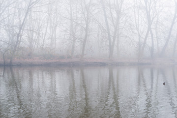 Landscape with fog