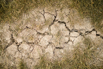 Crack in dry ground 