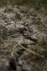Drought crack in soil