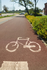 Pavement with painted bicycle sign on designated bicycle path