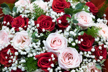 Beautiful flowers with blurred background