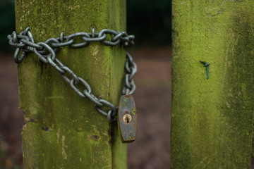 Silver rusty padlock on mossy wooden gate