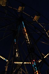 Fall at the County Fair