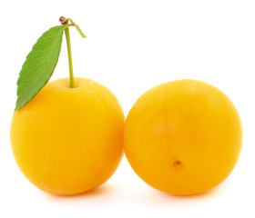 Yellow plum isolated