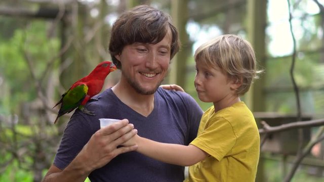 Father and son in a bird park feed a red parrot sitting on father's shoulder in with a milk