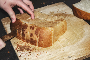 Chef cuts a large loaf of bread