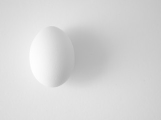 White chicken egg on white background