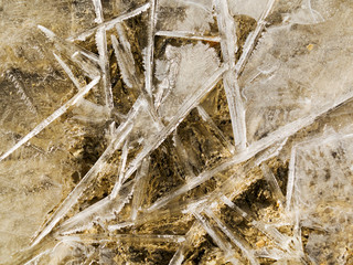 frozen morning, frozen water