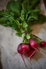 bunch of radishes on wooden background