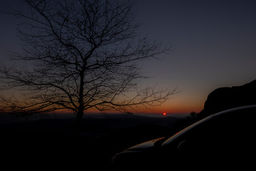 Árvore e pôr do sol