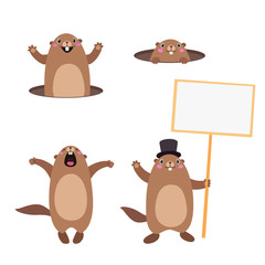 Set of groundhog popping out of his hole and holding a blank sign board. Flat