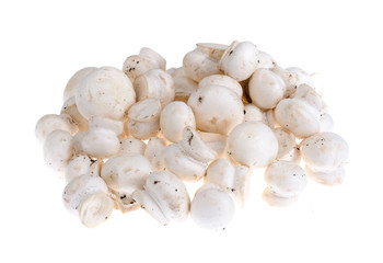 Heap of little dirty champignons isolated on white