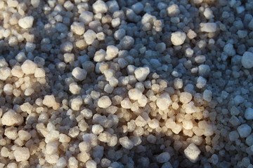 salt