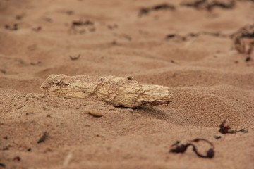 Stick on the sand