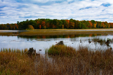 Fall Forest Reflection With Rolling Clouds at Iargo Springs