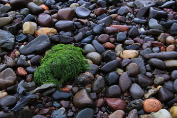 pebbles on the beach