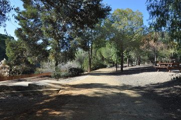 The beautiful Athalassa National Park Nicosia (Cyprus)