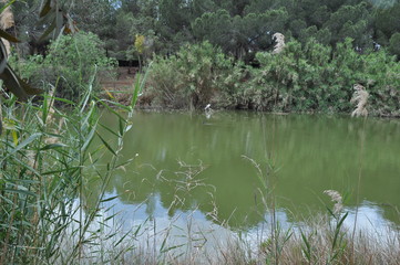 The beautiful Athalassa National Park Nicosia (Cyprus)
