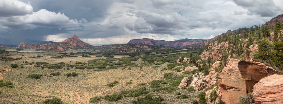 Zion's Hop Valley