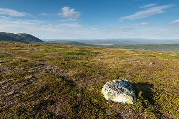summer in the scandinavian fell