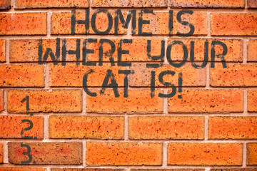 Conceptual hand writing showing Home Is Where Your Cat Is. Business photo showcasing Kitten lovers feline protection cute animals