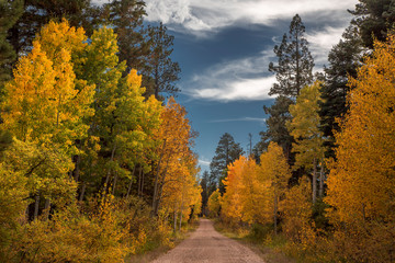 Grand Canyon Autumn