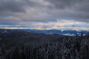 Winter landscape in the Carpathian mountains.