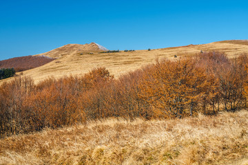 Autumn landscape in Bieszczady Mountains, south east Poland