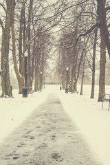 Snowy Pathway