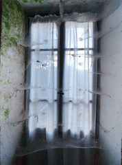 una casa abbandonata da anni e le ragnatele tuta attorno alla finestra - 241170807