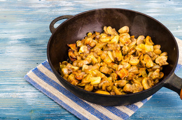 Cast iron pan, fried champignons with onions