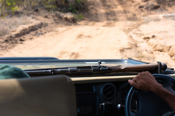 Close up of a safari guide driving in a 4-wheel drive with his rifle in the bush of South Africa
