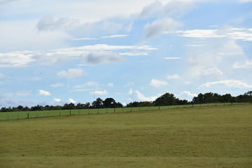 open field in the country