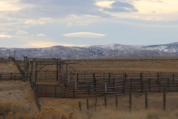 wyoming morning corral 