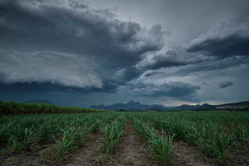 Large hail storm coming over Mt Warning and Murwillumbah Cane Fields