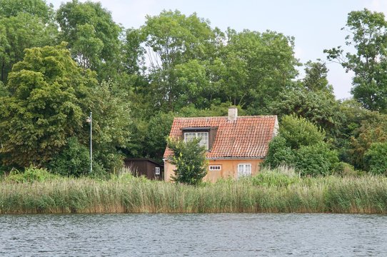House in the Reeds