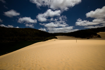 Lake Wabby On Fraser Island, Australia, on A Sunny Day