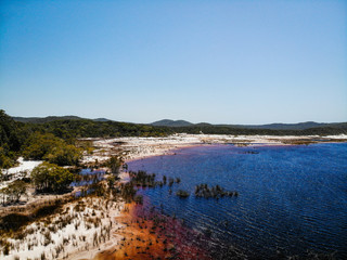 Lake Boomanjin on Fraser Island on a sunny day. The lake is red from the tea tree oil