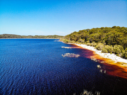 Lake Boomanjin on Fraser Island on a sunny day. The lake is red from the tea tree oil © Jordan