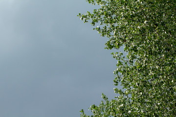 Light in the Dark and Dramatic Storm Clouds background